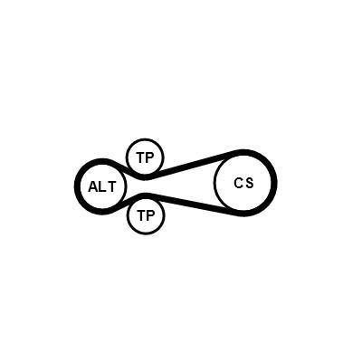 Kit de correias trapezoidais estriadas CONTITECH ref. 6PK882 EXTRA K1